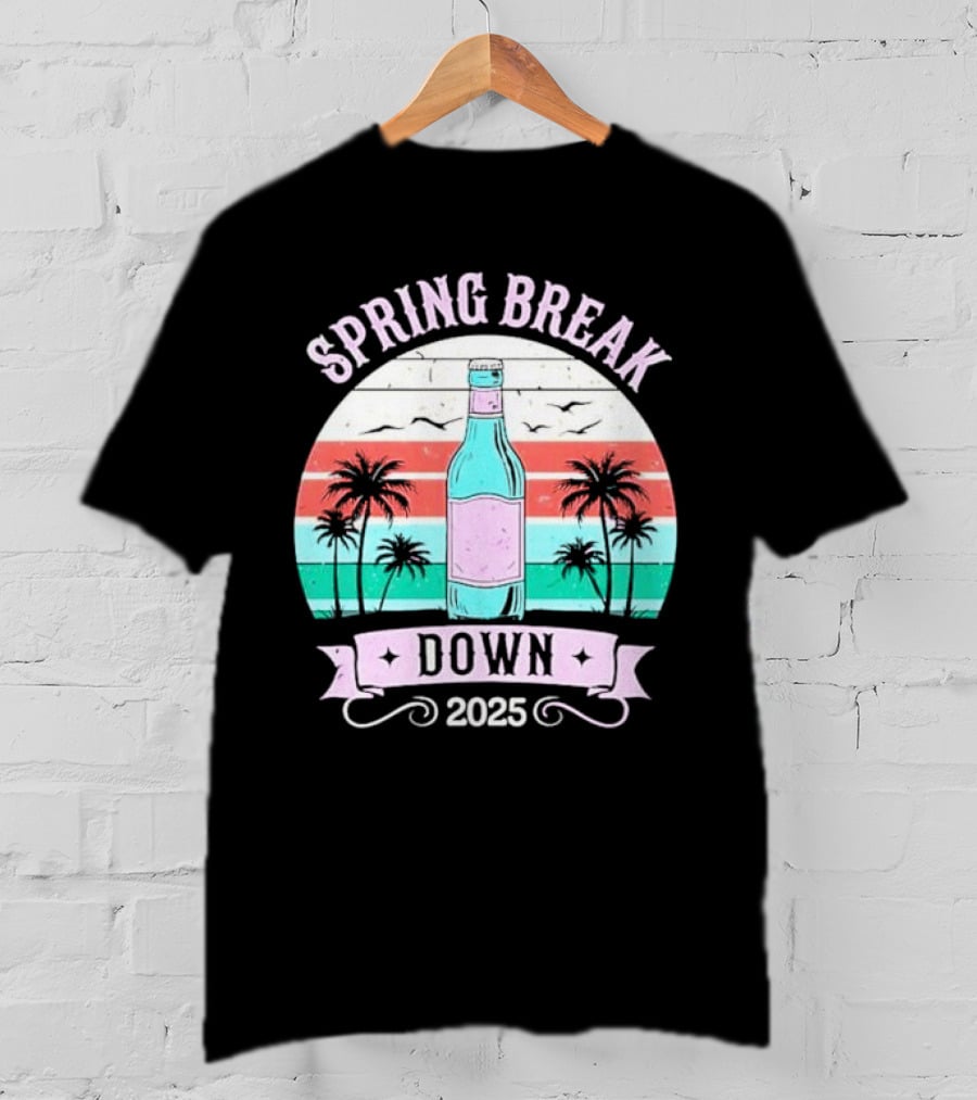 Spring Break Down 2025 Bottle Palms Retro Stripes Vintage Vibe T-Shirt