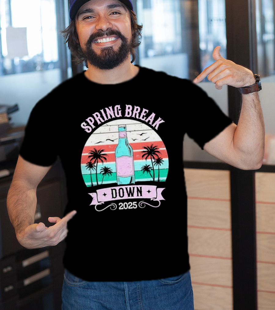 Spring Break Down 2025 Bottle Palms Retro Stripes Vintage Vibe T-Shirt