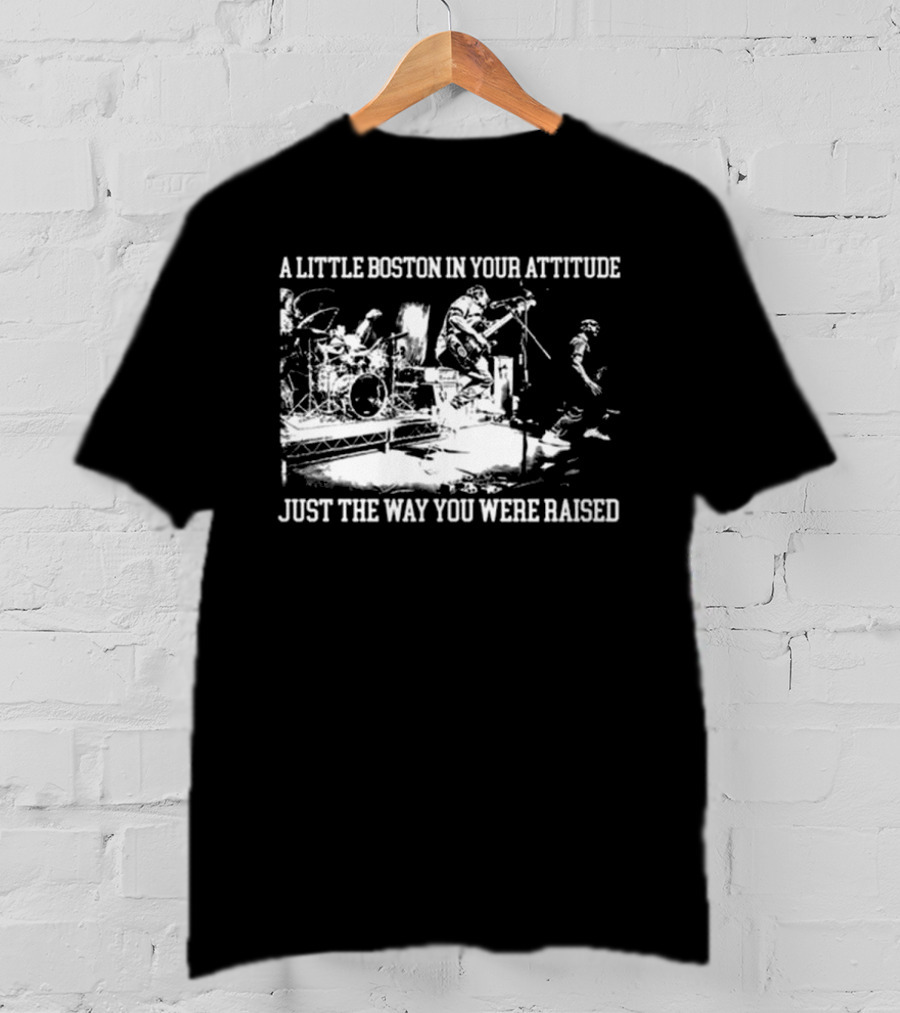 A Little Boston In Your Attitude Just The Way You Were Raised The Menzingers T-Shirt