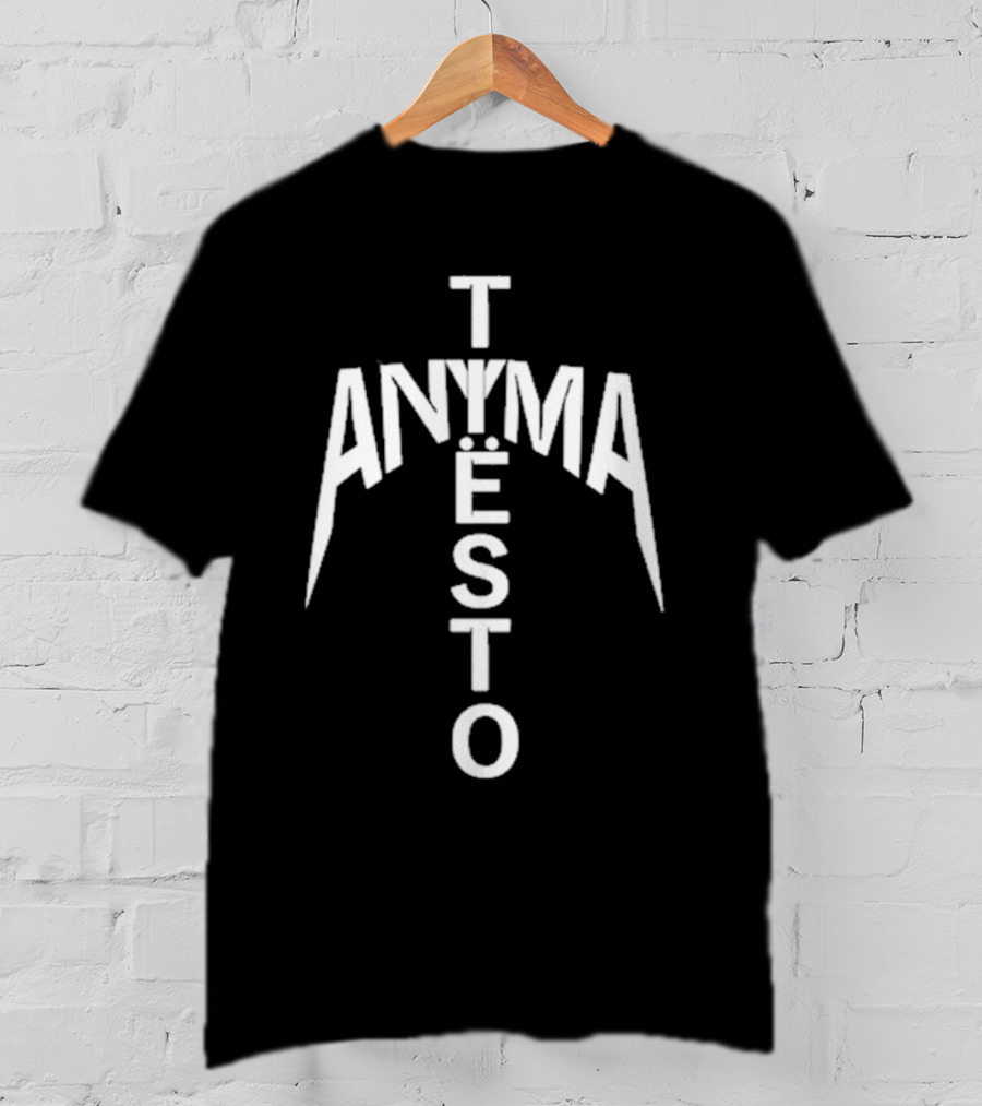 We Rave You Anyma Tiësto Typography Style T-Shirt