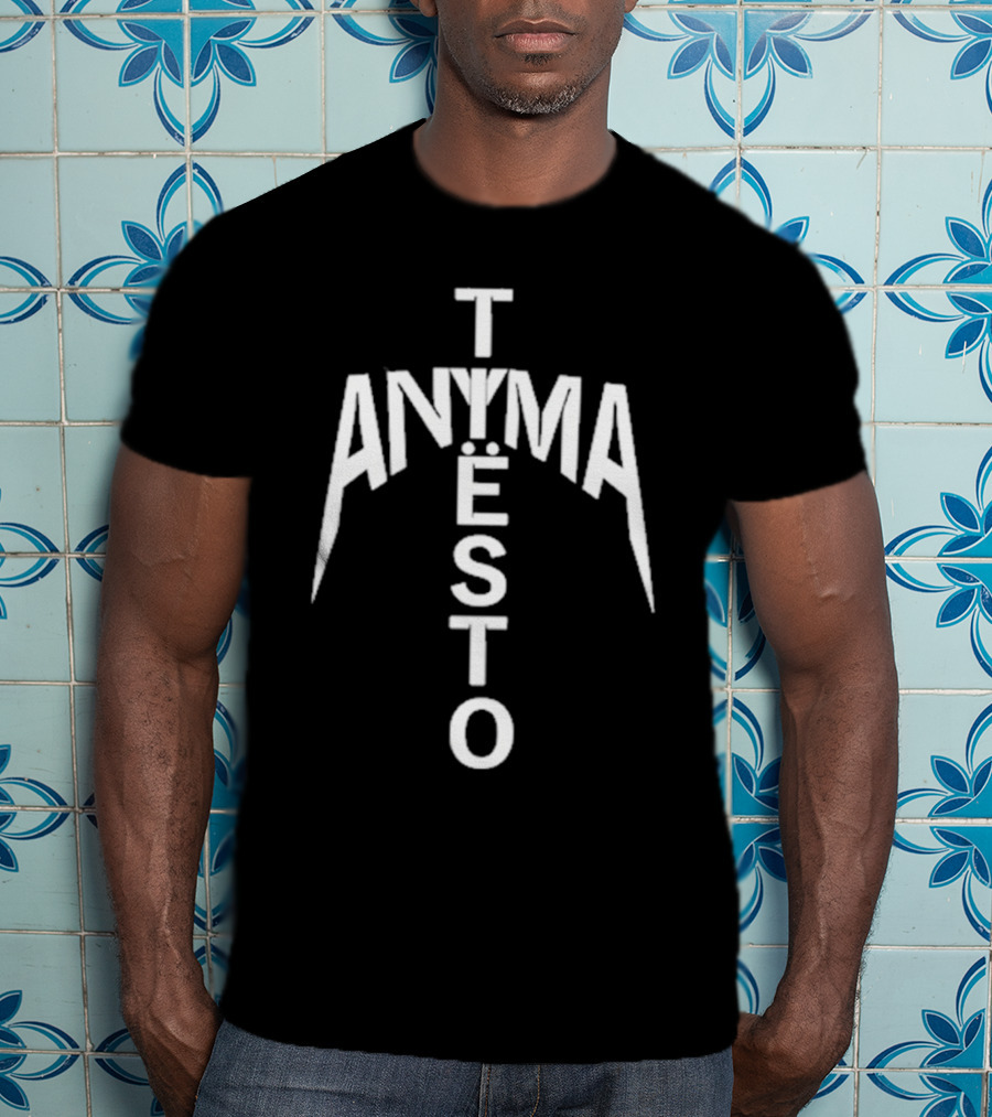We Rave You Anyma Tiësto Typography Style T-Shirt