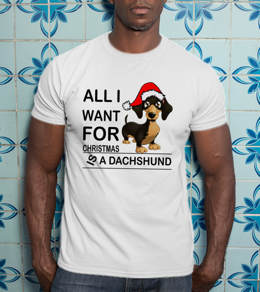 All I Want For Christmas Is A Dachshund Wearing Santa Hat T-Shirt