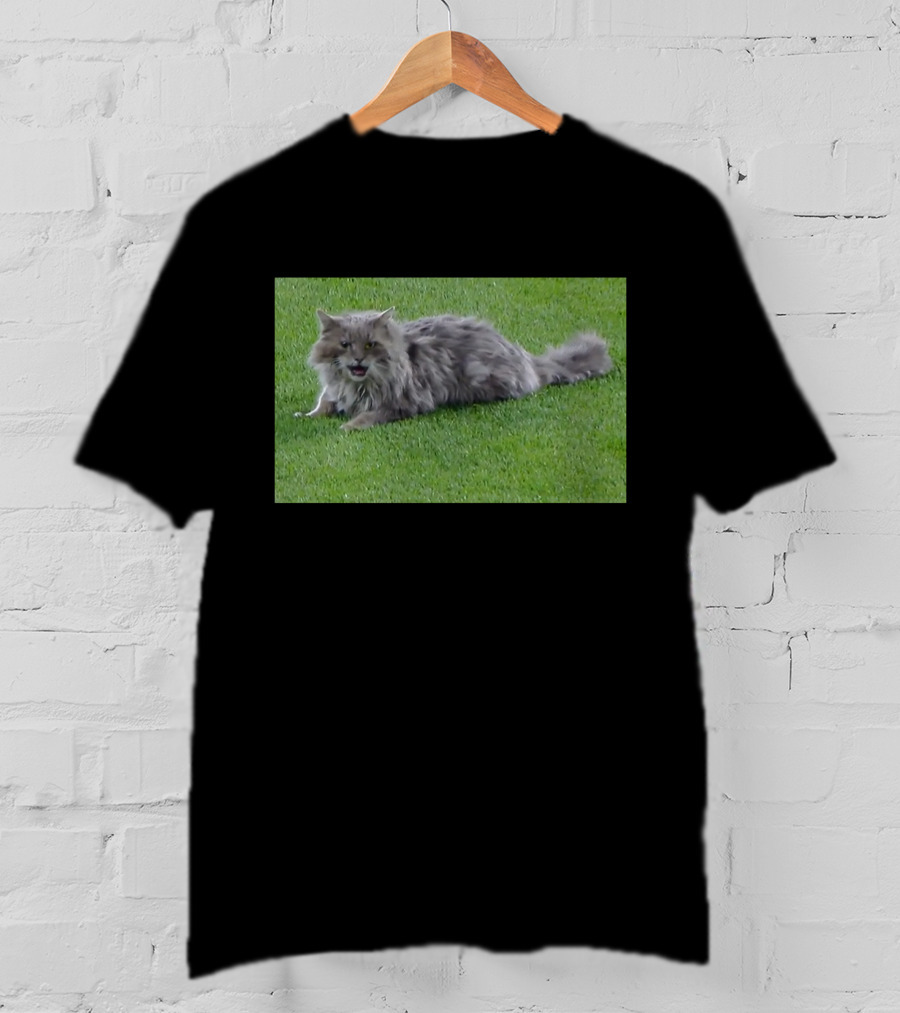 Cat Stops Play At Los Angeles Dodgers Stadium Event T-Shirt