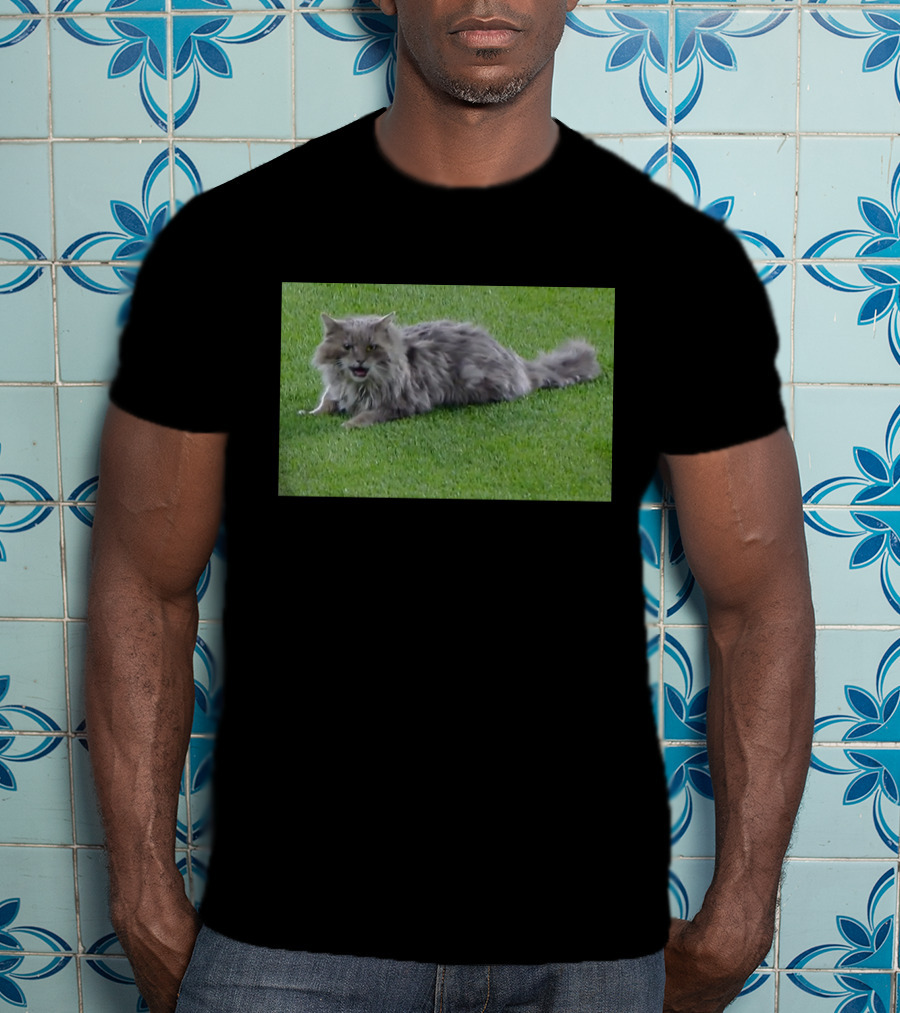 Cat Stops Play At Los Angeles Dodgers Stadium Event T-Shirt