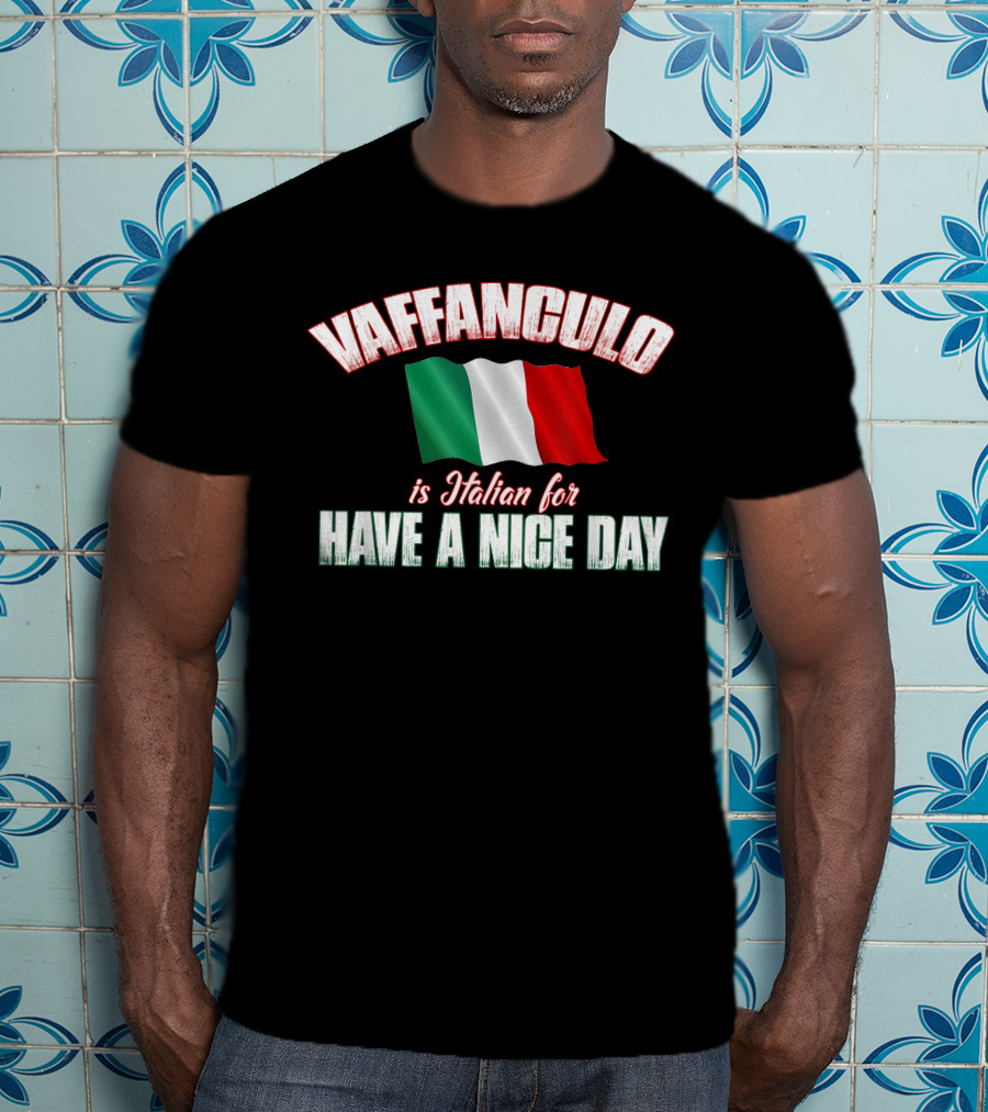 VAFFANCULO Italian Flag Have A Nice Day T-Shirt