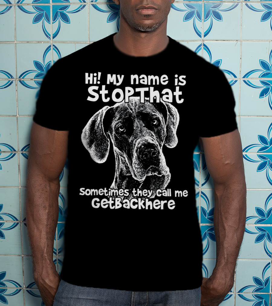 Hi My Name Is StopThat Sometimes They Call Me GetBackHere Funny Great Dane T-Shirt