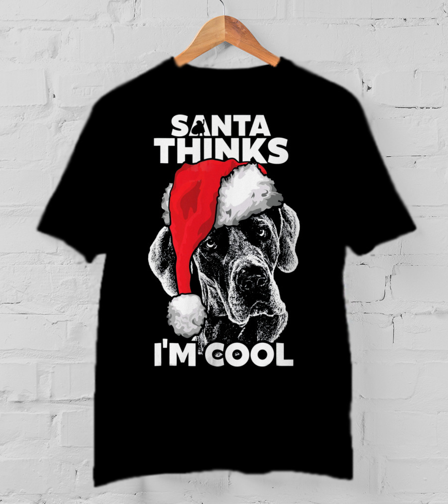 Santa Thinks I'm Cool Great Dane T-Shirt
