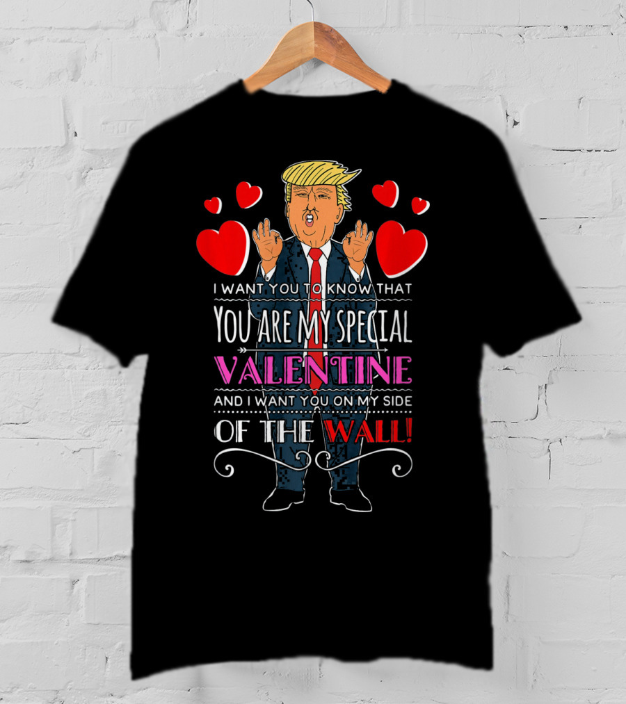 You Are My Special Valentine And I Want You On My Side Of The Wall T-Shirt