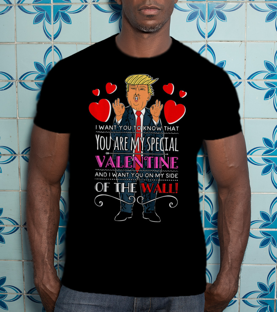 You Are My Special Valentine And I Want You On My Side Of The Wall T-Shirt