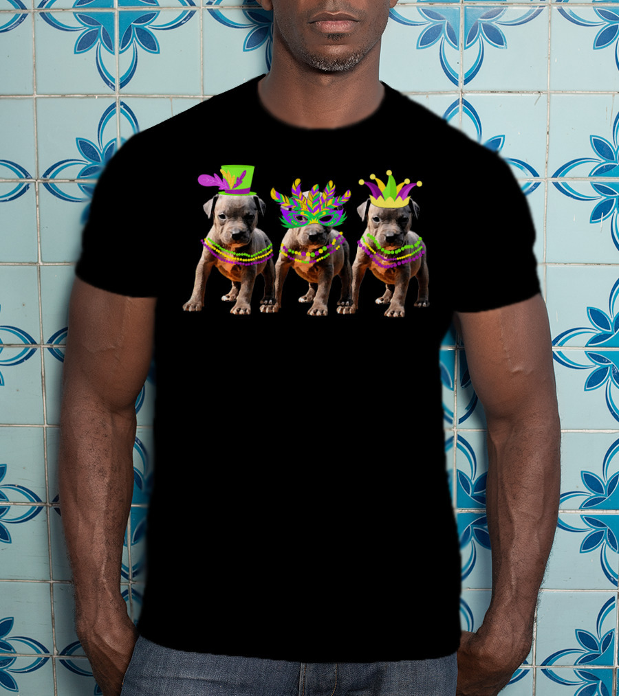 Mardi Gras Pitbull Beads Vintage Costume Trio T-Shirt