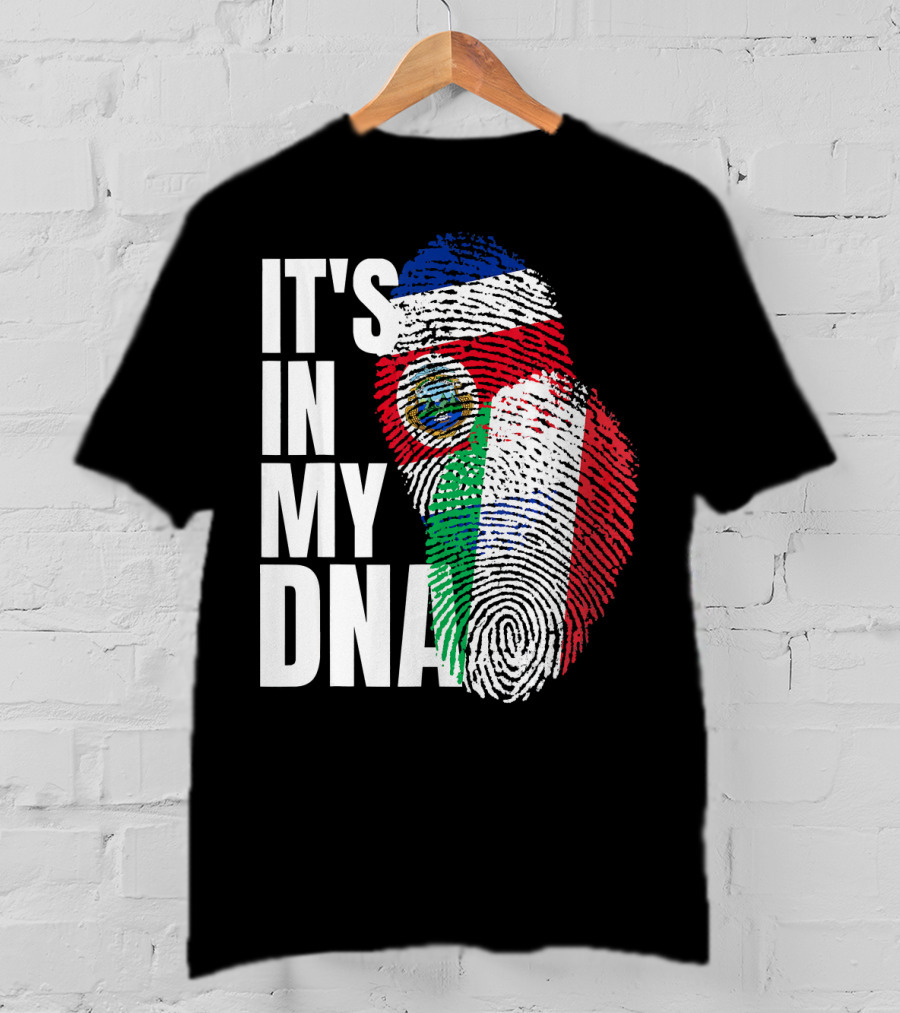 It's In My DNA Costa Rican Italian Flag Mix T-Shirt