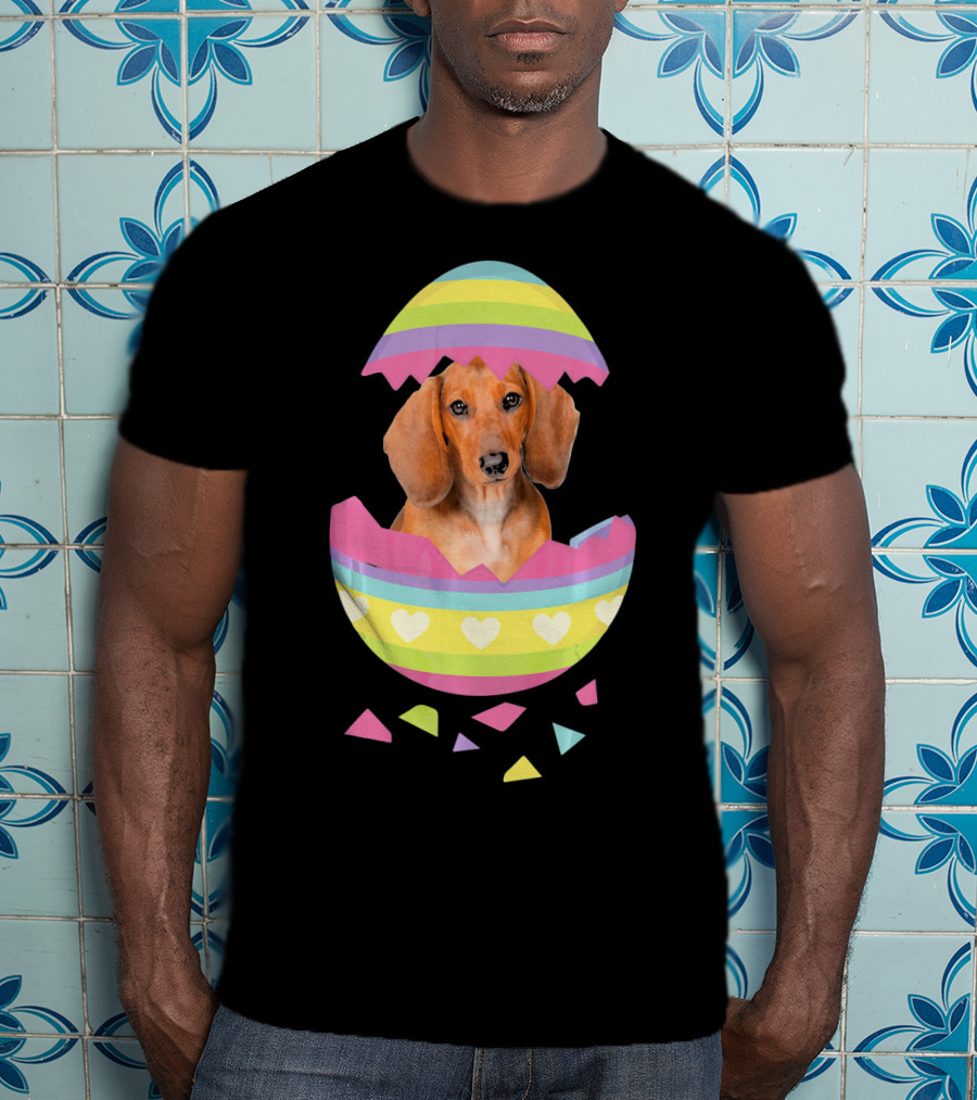 Dachshund In Colorful Easter Egg With Heart Stripes T-Shirt