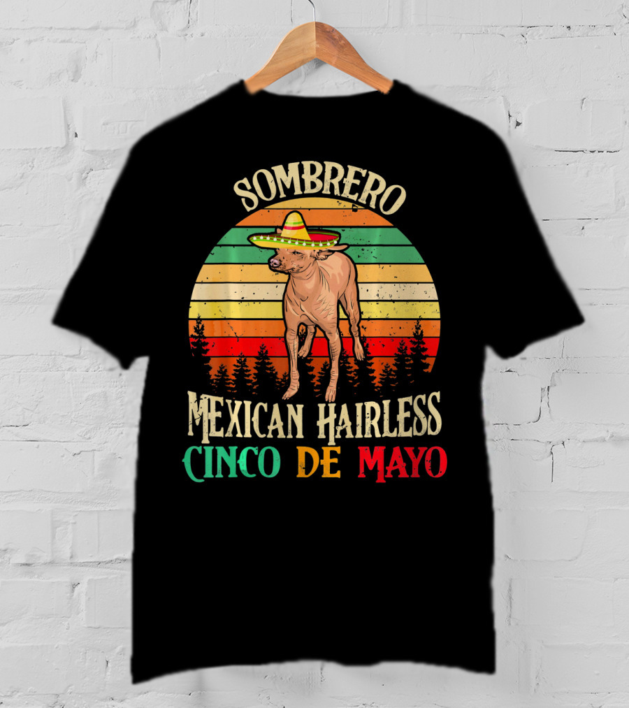 Sombrero Mexican Hairless Cinco De Mayo Vintage Sunset T-Shirt