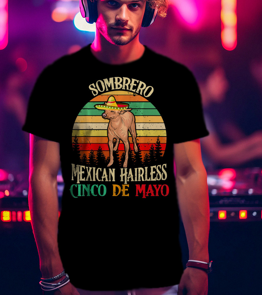 Sombrero Mexican Hairless Cinco De Mayo Vintage Sunset T-Shirt