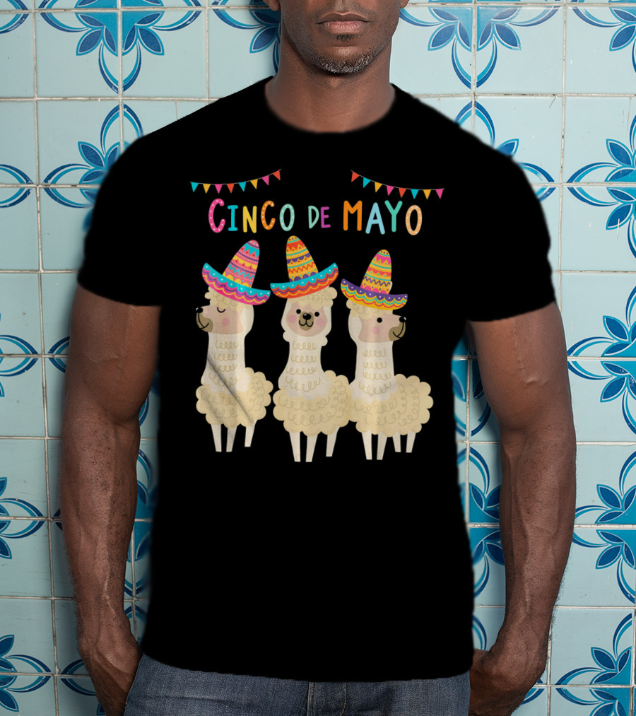 No ProbLlama Cinco De Mayo Llamas In Sombreros T-Shirt