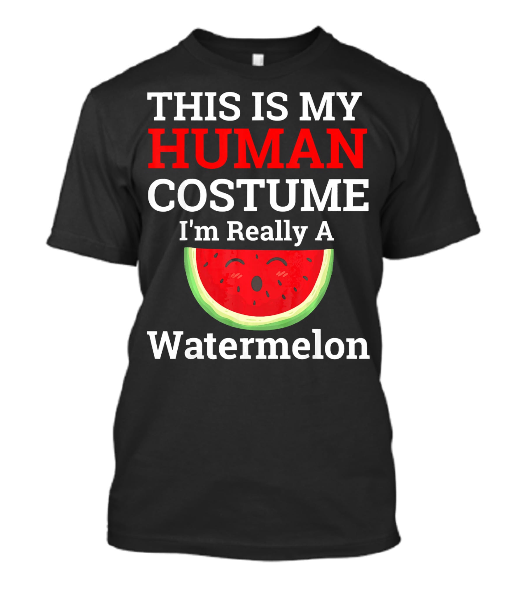 THIS IS MY Human Costume I'm Really A Watermelon T-Shirt