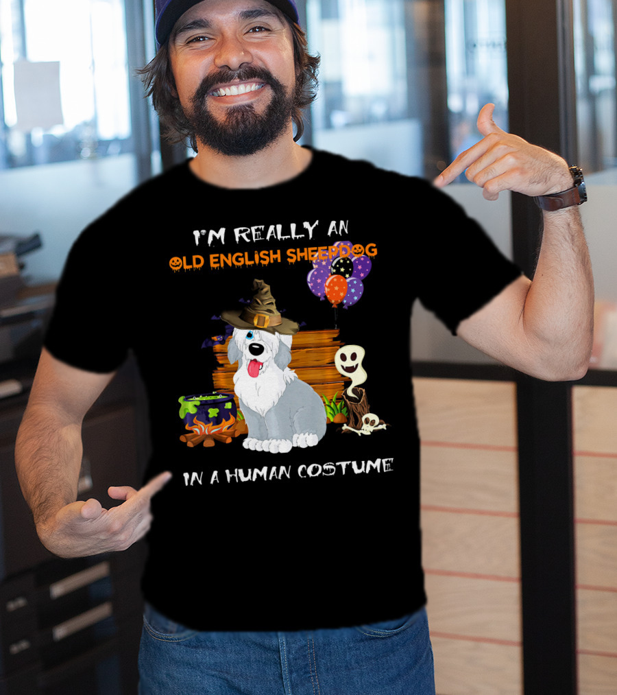I'm Really An Old English Sheepdog In A Human Costume T-Shirt