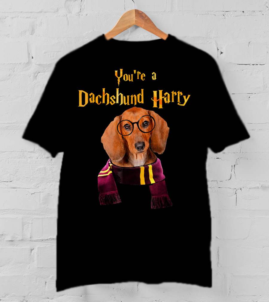 You're A Dachshund Harry T-Shirt