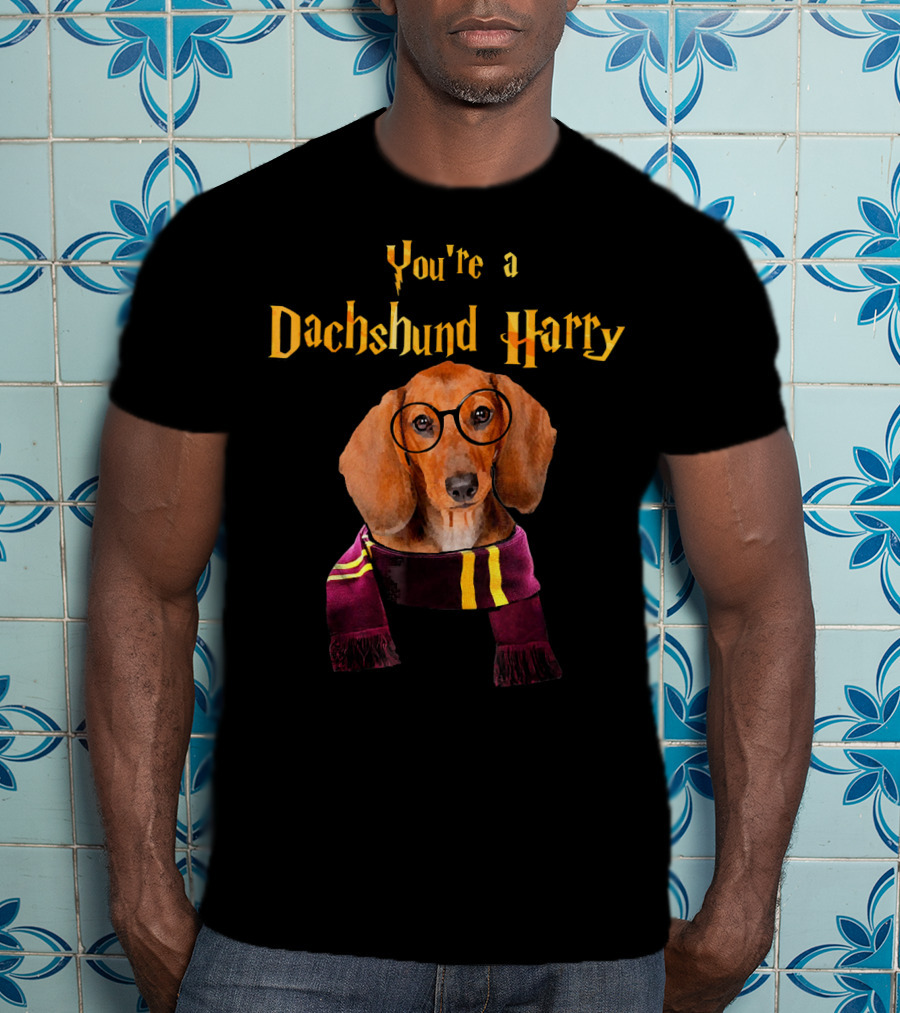 You're A Dachshund Harry T-Shirt