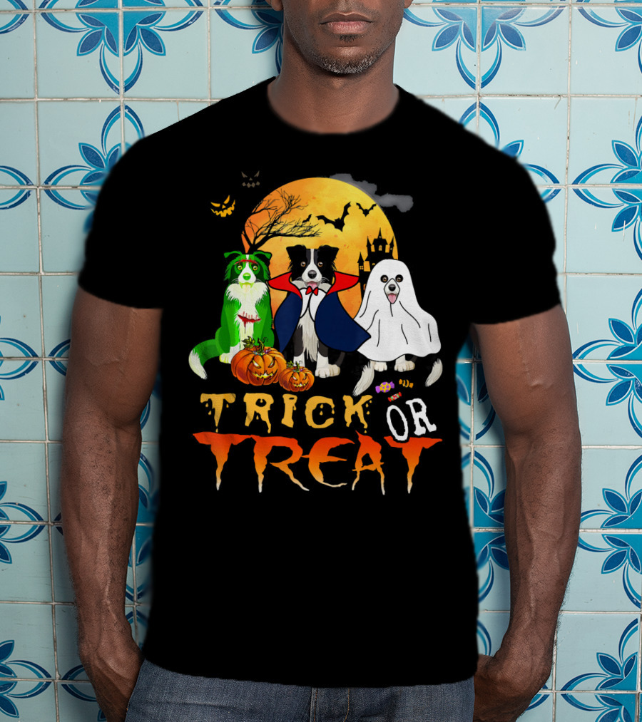 Trick Or Treat Halloween Border Collie Costumes Pumpkins Haunted Moon T-Shirt