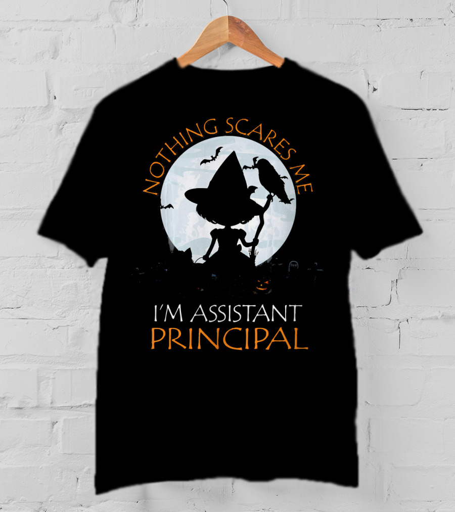 Nothing Scares Me I'm Assistant Principal Witch Moon Ravens T-Shirt