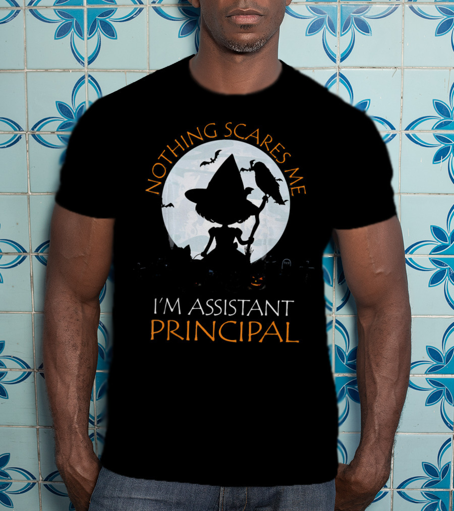 Nothing Scares Me I'm Assistant Principal Witch Moon Ravens T-Shirt