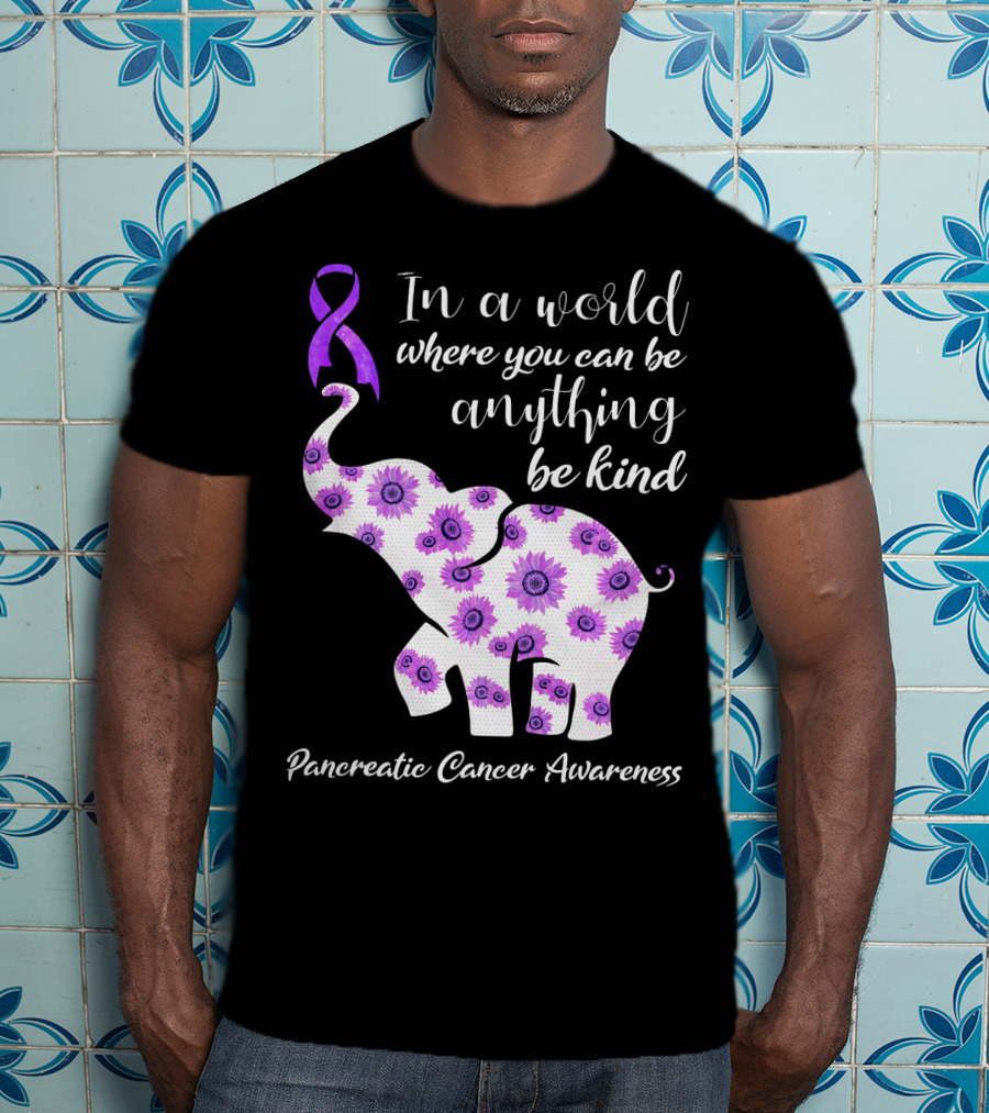 In A World Where You Can Be Anything Be Kind Pancreatic Cancer Awareness T-Shirt