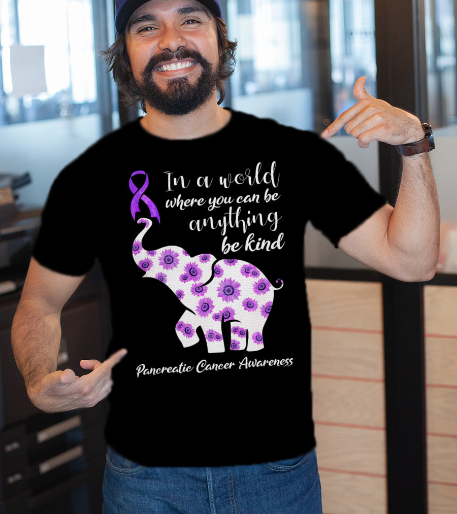 In A World Where You Can Be Anything Be Kind Pancreatic Cancer Awareness T-Shirt