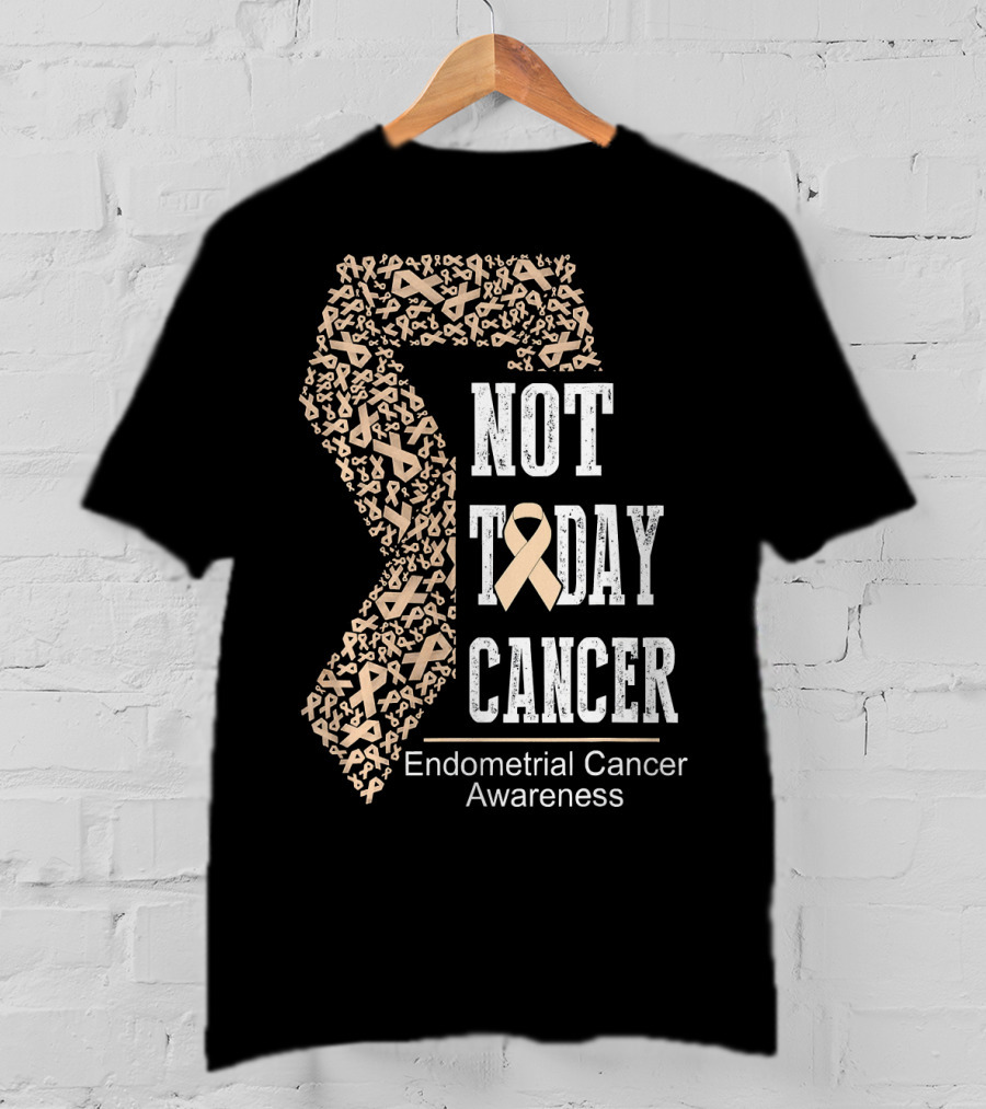Not Today Cancer Endometrial Cancer Awareness T-Shirt