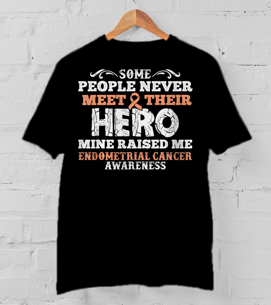 Some People Never Meet Their Hero Mine Raised Me Endometrial Cancer Awareness T-Shirt