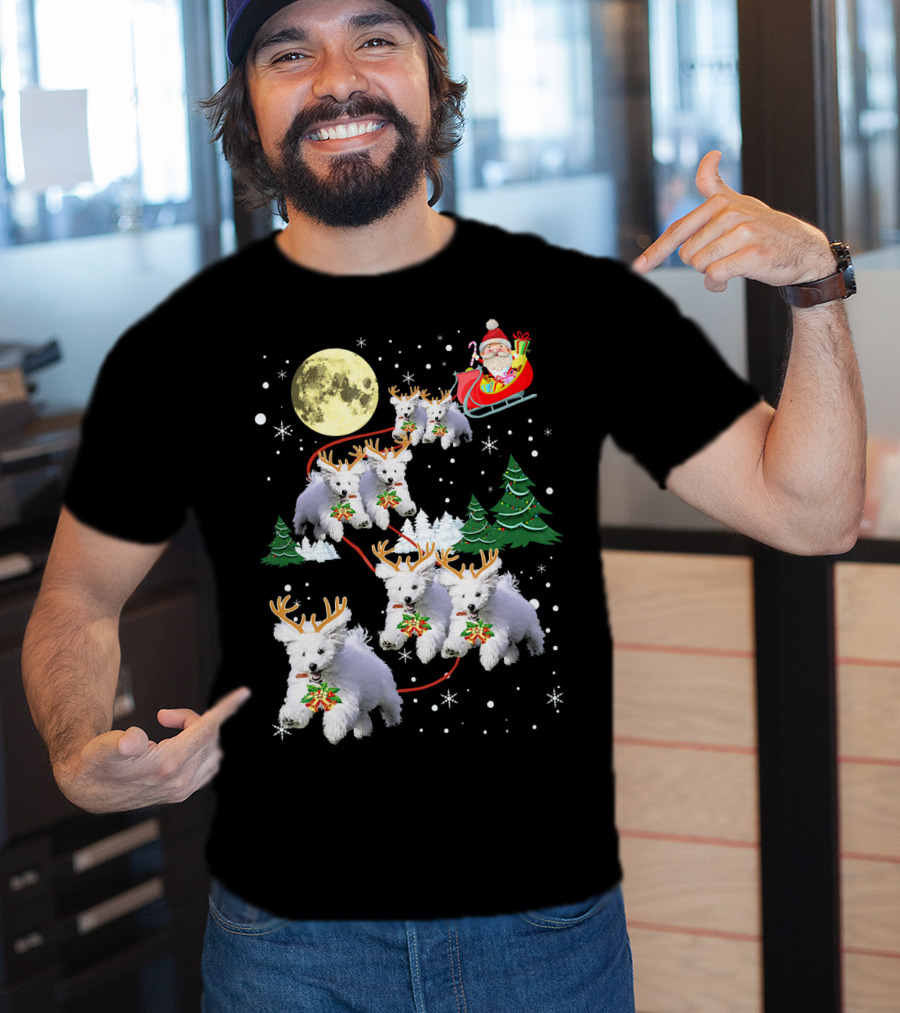 Funny Maltese Christmas Santa Claus Sleigh Reindeer Dogs Pajama T-Shirt