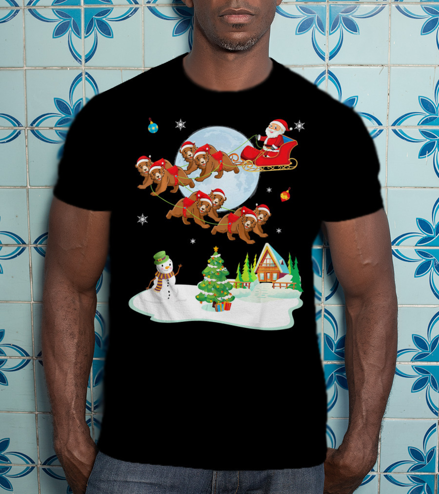 Santa Claus Sleigh With Bears And Snowman By Moonlit Cabin Noel T-Shirt