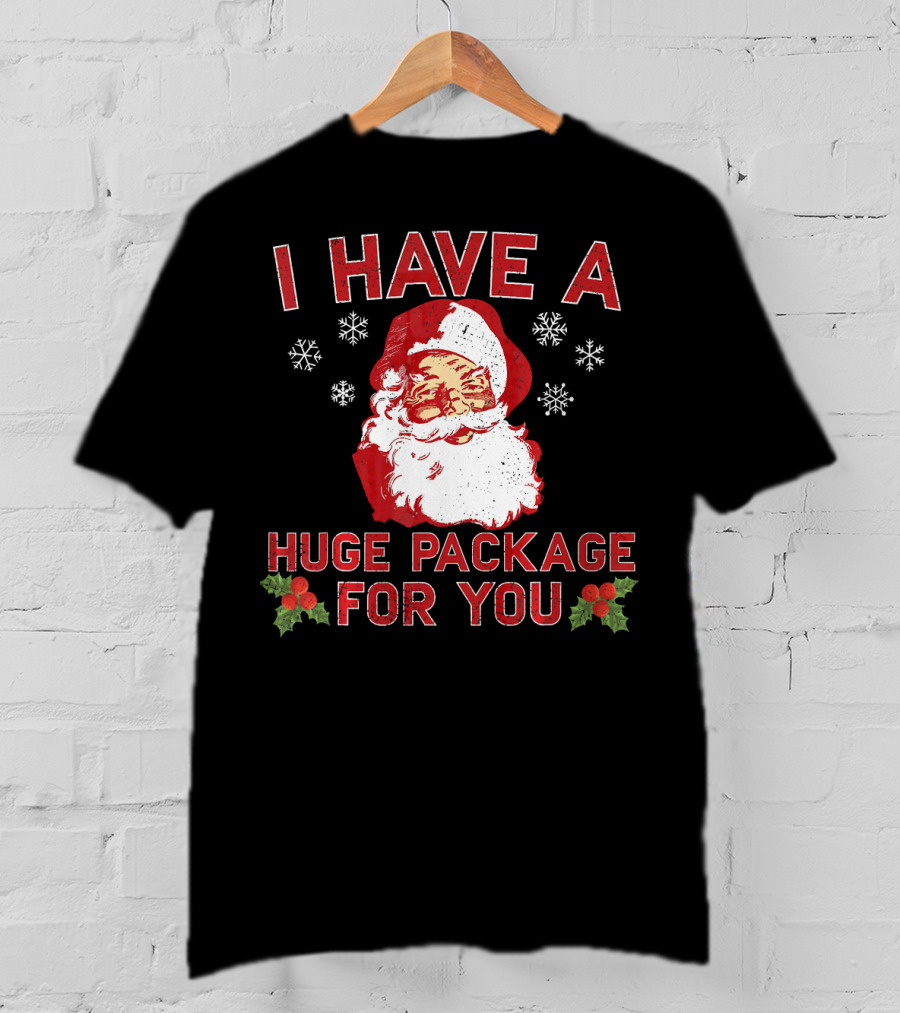I Have A Huge Package For You Santa Christmas Snowflakes T-Shirt