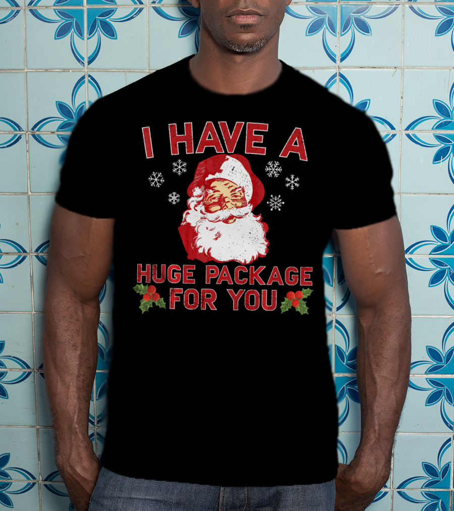 I Have A Huge Package For You Santa Christmas Snowflakes T-Shirt