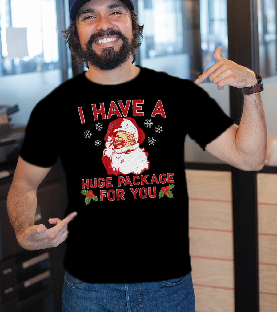 I Have A Huge Package For You Santa Christmas Snowflakes T-Shirt