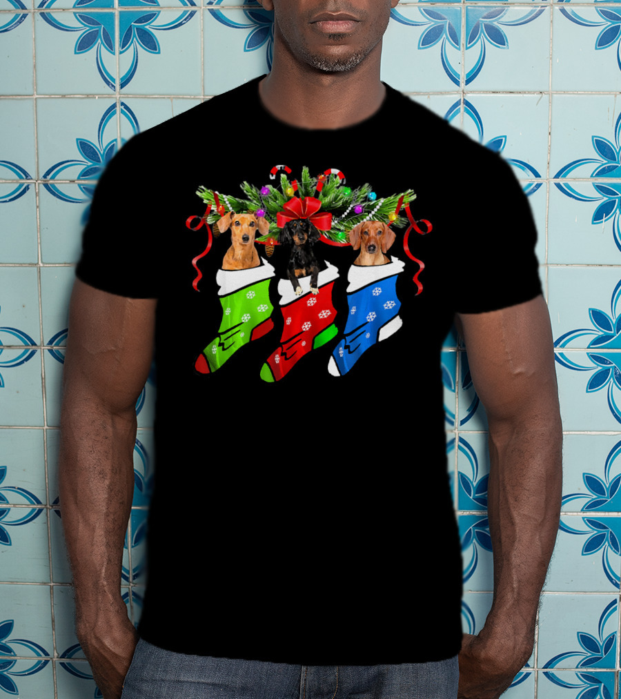 Funny Christmas Three Dachshund In Sock With Red Green Blue Holiday Stockings T-Shirt