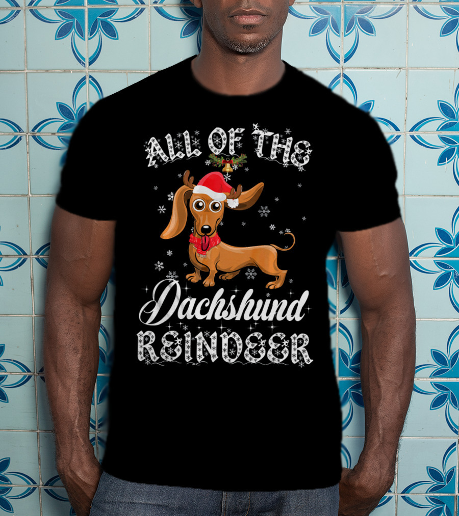 All Of The Dachshund Reindeer Santa Hat Snowflakes T-Shirt