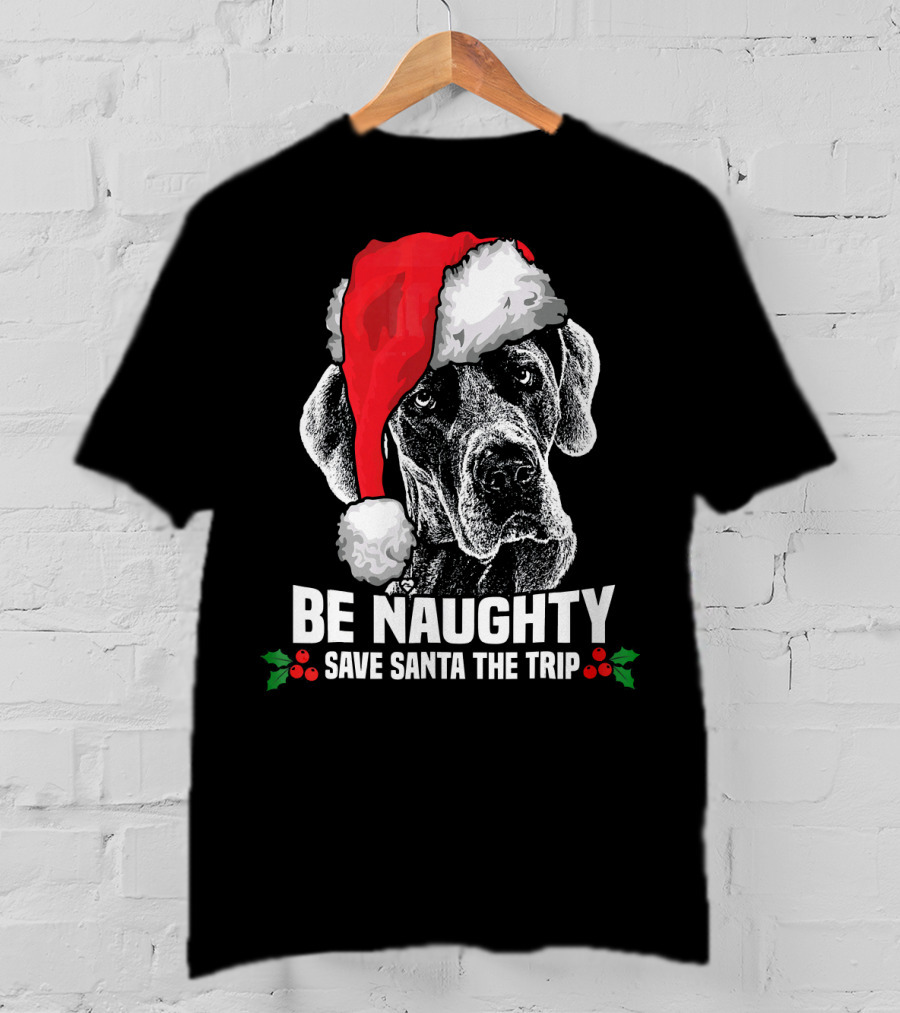 Be Naughty Save Santa The Trip Great Dane Santa Hat T-Shirt