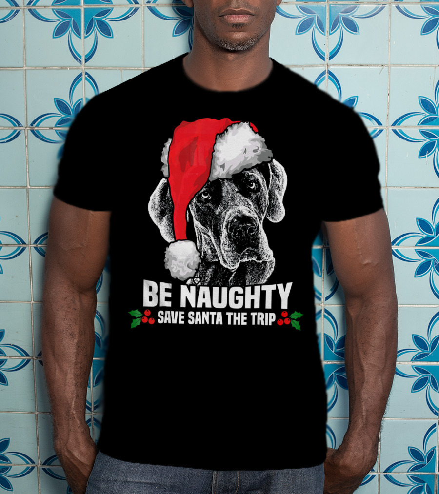 Be Naughty Save Santa The Trip Great Dane Santa Hat T-Shirt