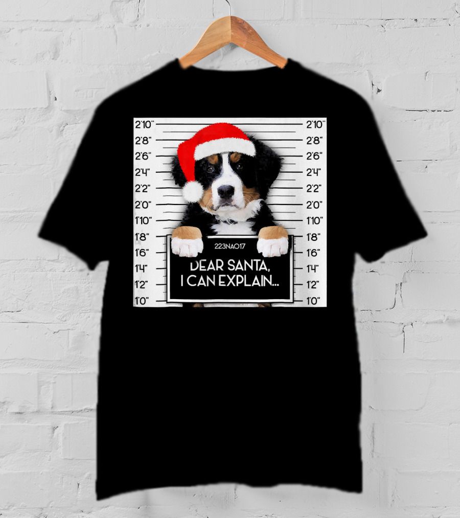 Xmas Bernese Mountain Dog Lover Santa Hat Dear Santa I Can Explain T-Shirt