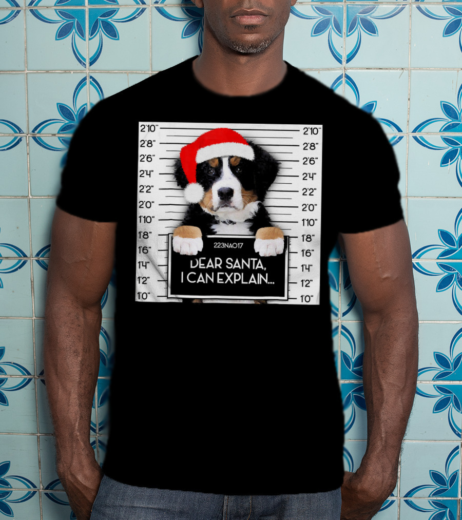 Xmas Bernese Mountain Dog Lover Santa Hat Dear Santa I Can Explain T-Shirt