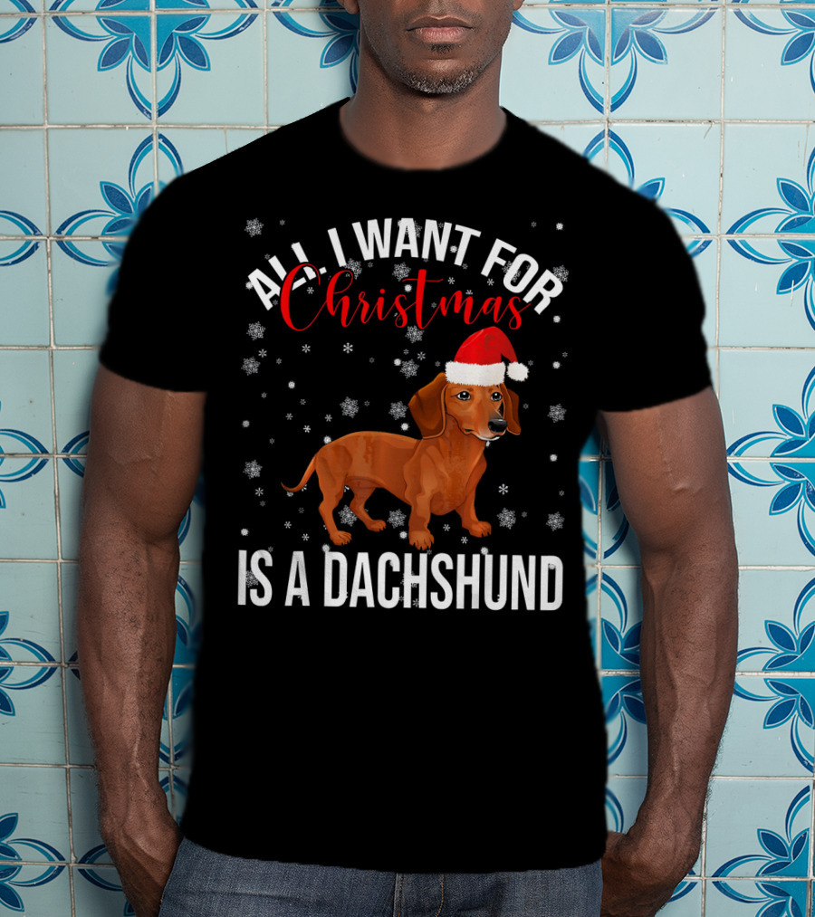 All I Want For Christmas Is A Dachshund Santa Hat Snowflakes T-Shirt