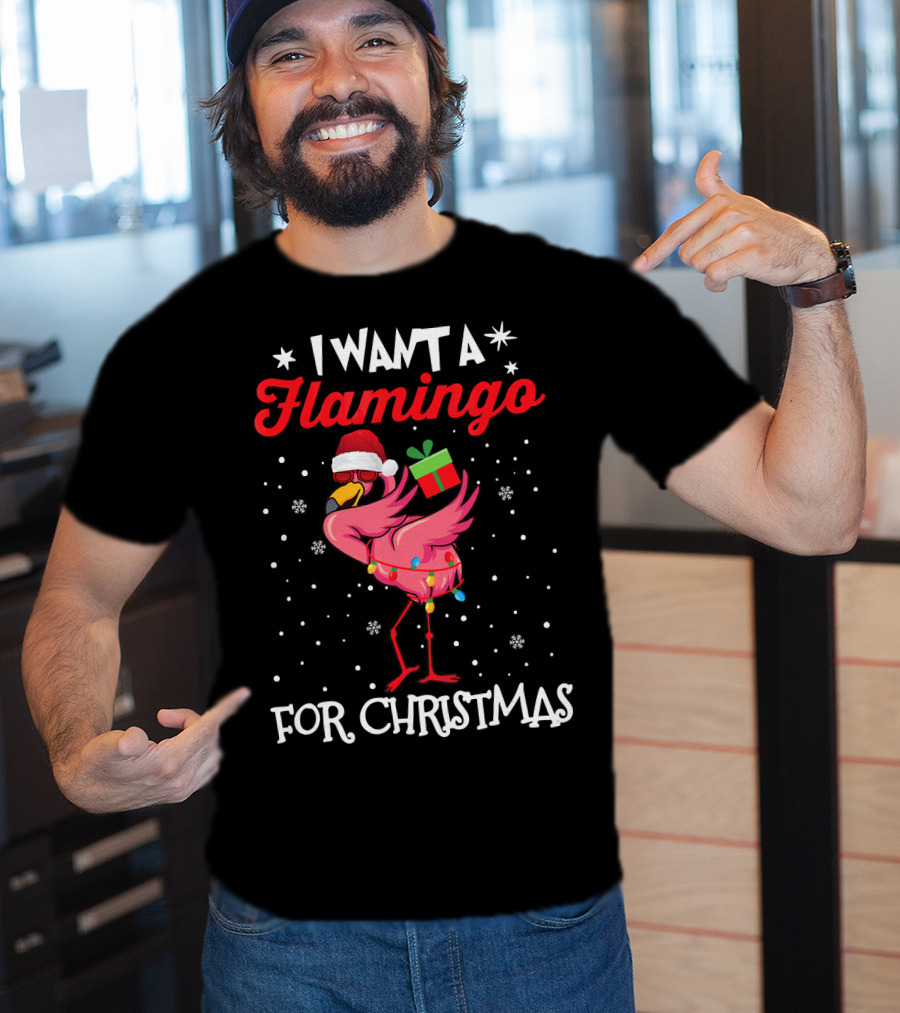 I Want A Flamingo For Christmas Santa Hat Lights Snowflakes Gift Box T-Shirt