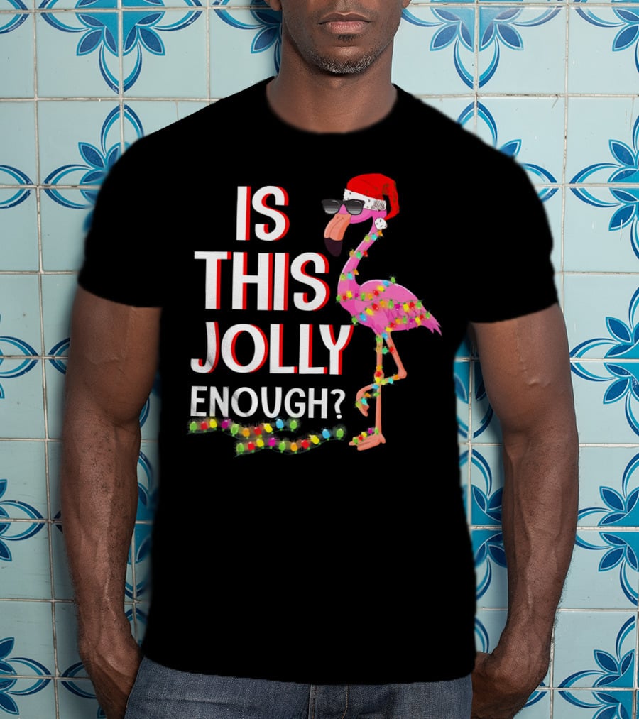 Is This Jolly Enough Flamingo Christmas Lights Santa Hat Sunglasses T-Shirt