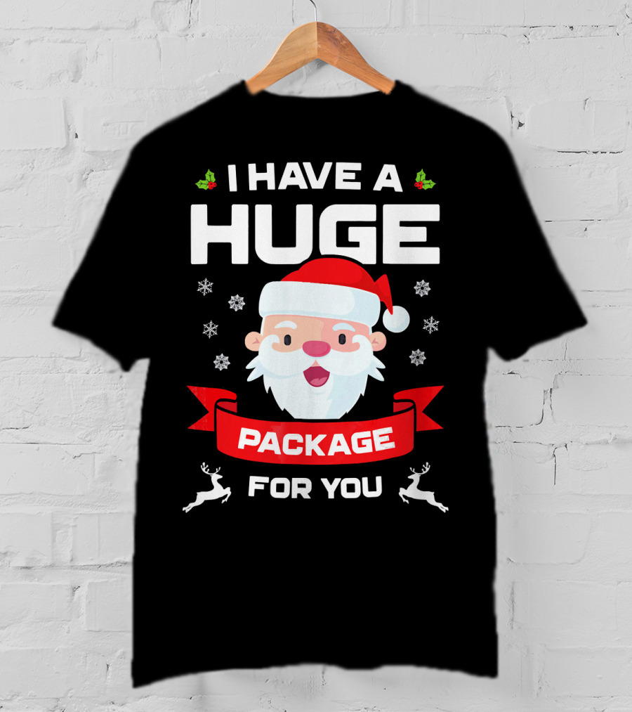 I Have A Huge Package For You Santa Snowflakes Reindeer Christmas T-Shirt