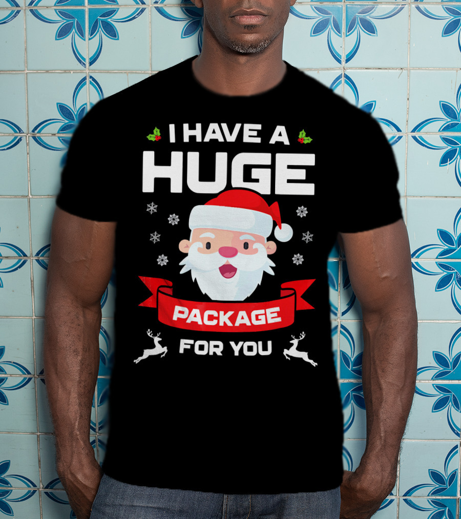 I Have A Huge Package For You Santa Snowflakes Reindeer Christmas T-Shirt