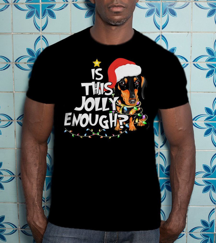 Is This Jolly Enough Christmas Dachshund With Santa Hat And Lights T-Shirt
