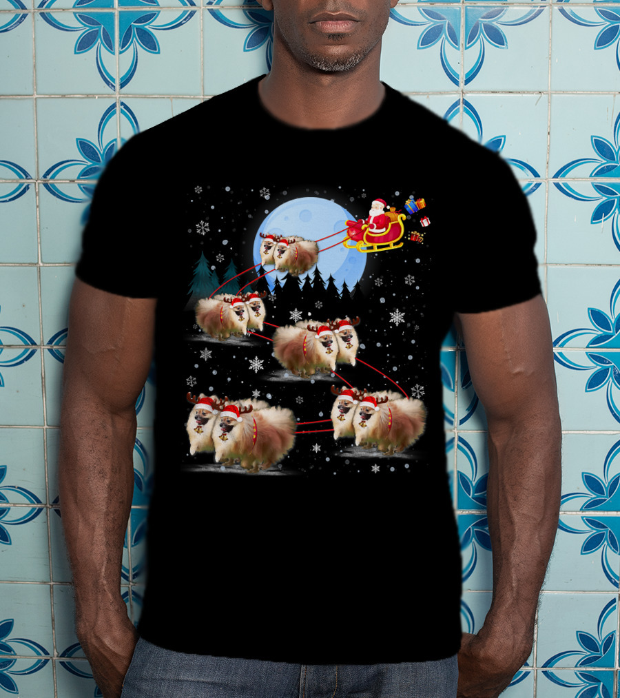 Pomeranian Reindeer Santa Sleigh Christmas Under Moonlight T-Shirt