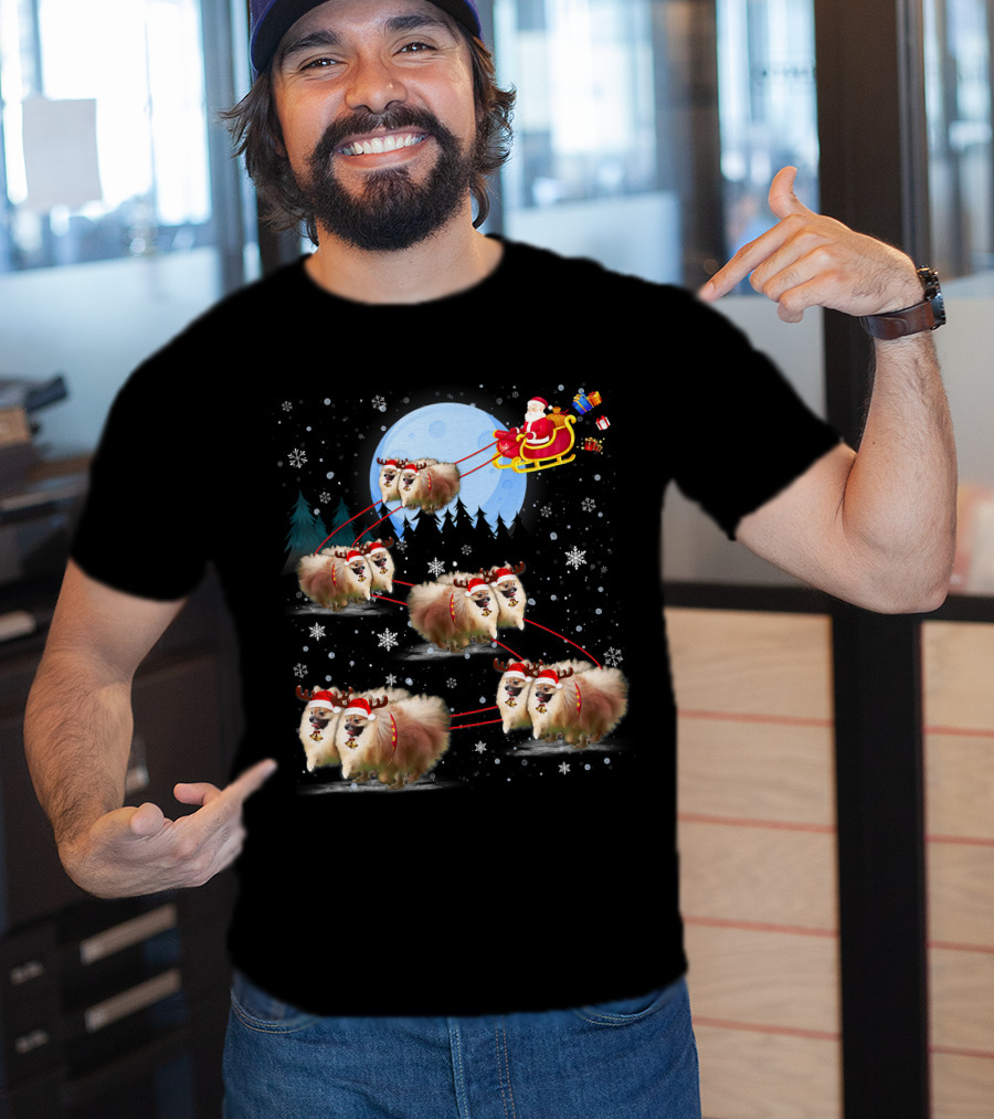 Pomeranian Reindeer Santa Sleigh Christmas Under Moonlight T-Shirt