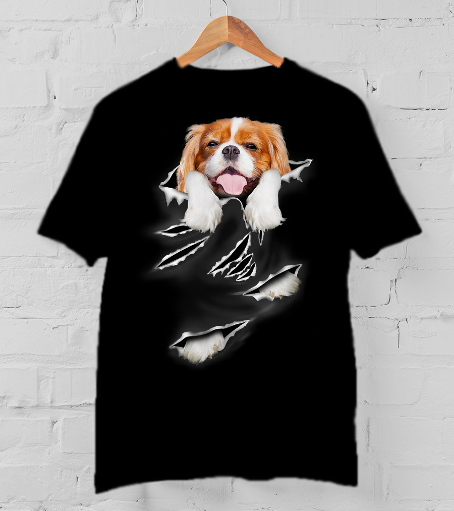 Cavalier King Charles Spaniel Scratch Torn Paws And Face Peeking Through T-Shirt